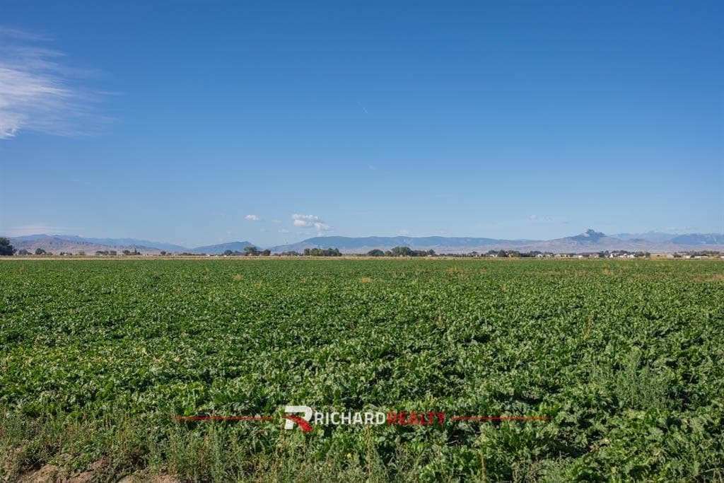 119 Blue Spruce Dr — photo 34 of 34