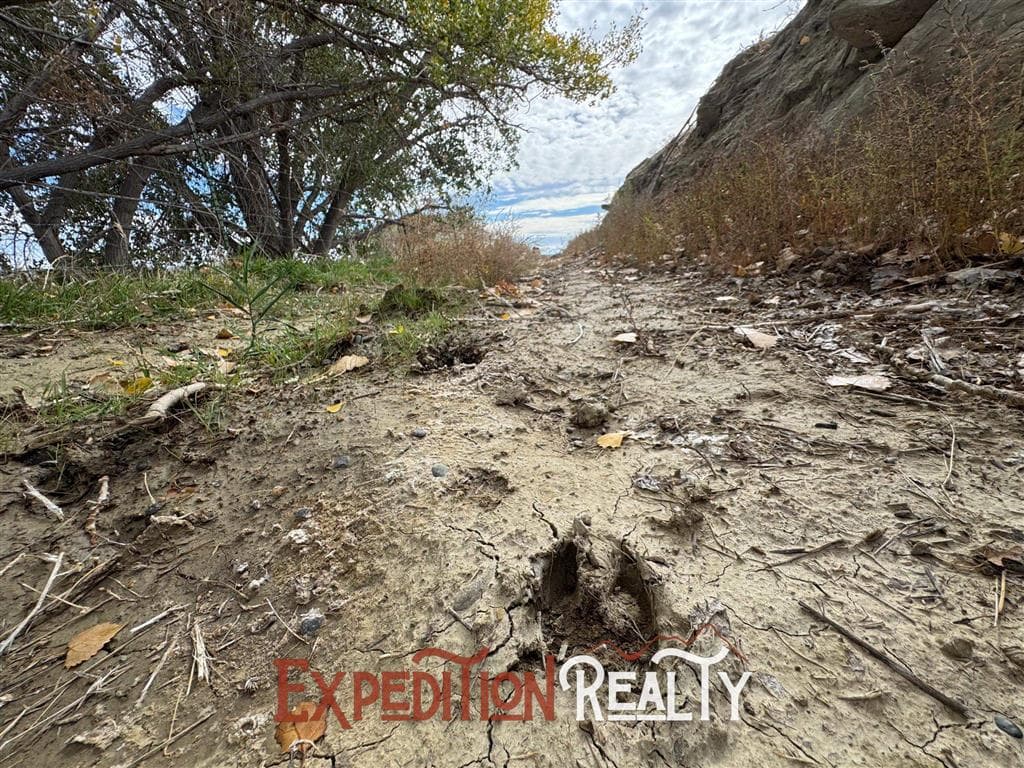 150 Road 5N — photo 44 of 50