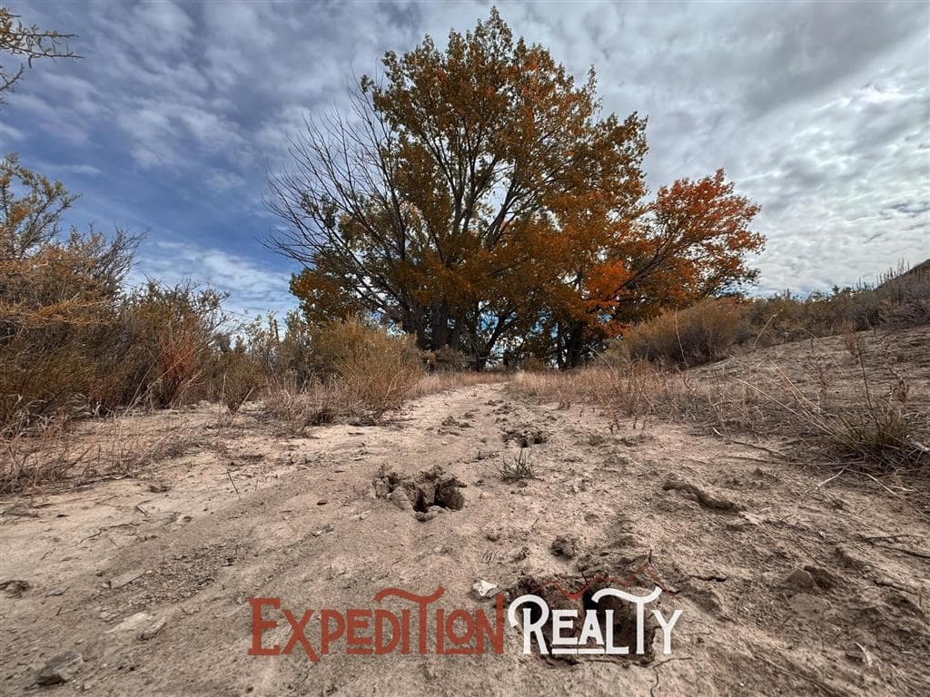 150 Road 5N — photo 48 of 50