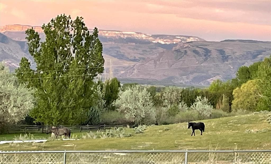 850 Hwy 14 E — photo 2 of 99