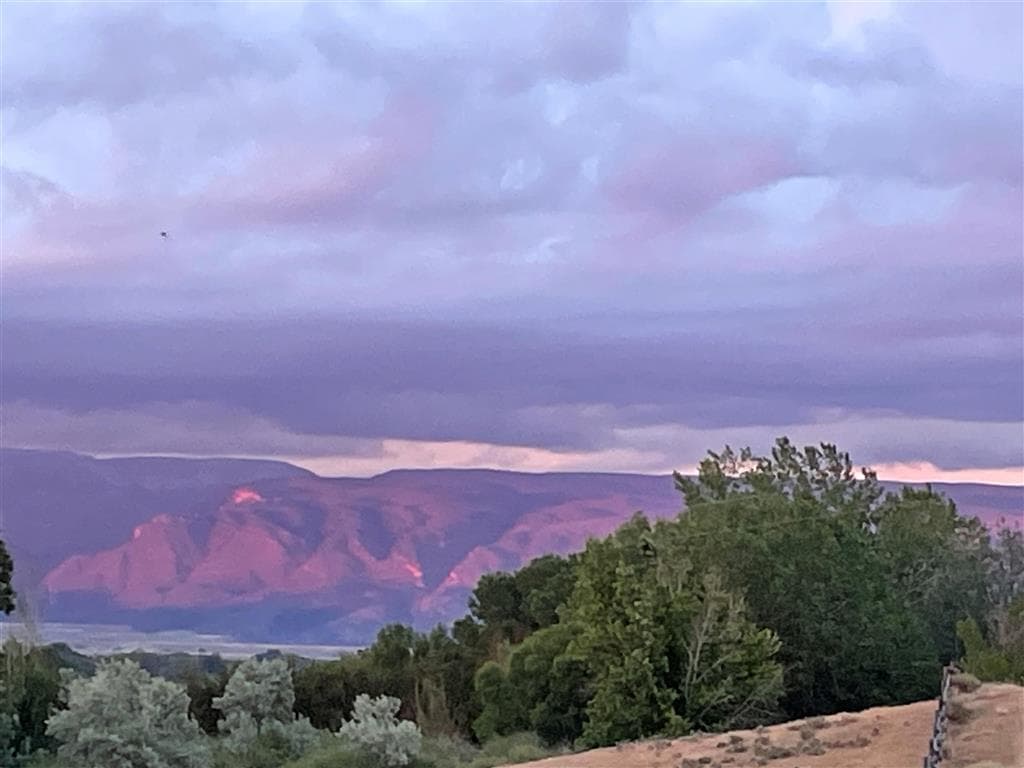 850 Hwy 14 E — photo 50 of 99