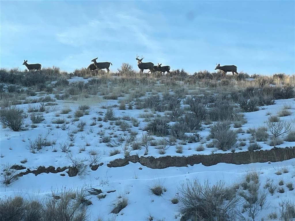 850 Hwy 14 E — photo 76 of 99