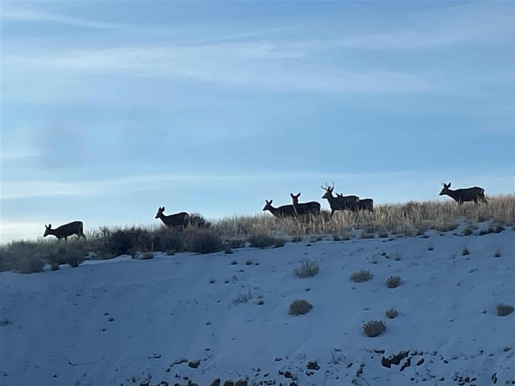 850 Hwy 14 E — photo 86 of 99