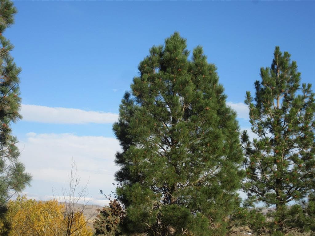 1505 Draw St — photo 11 of 16