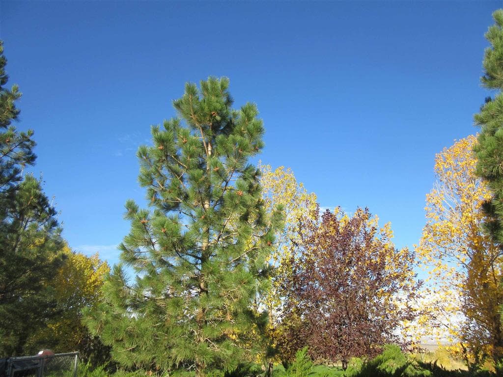 1505 Draw St — photo 12 of 16