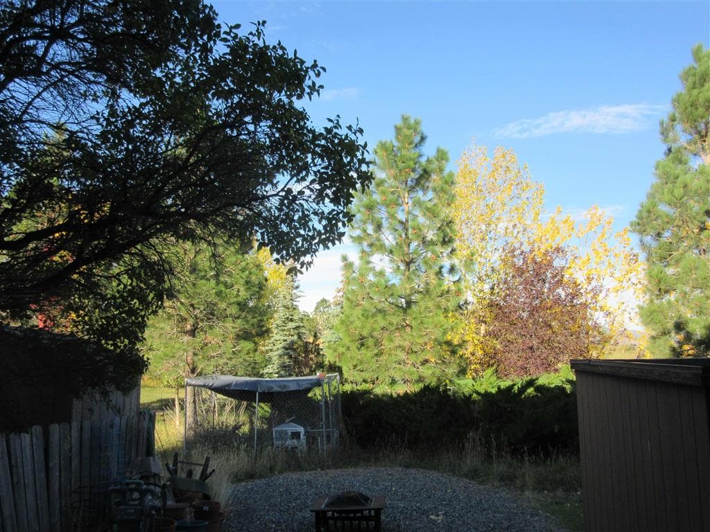 1505 Draw St — photo 10 of 16