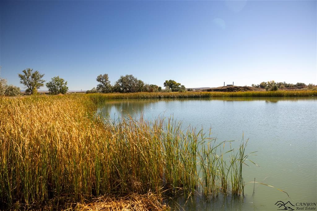 4924 Orchard Bench Rd — photo 80 of 88