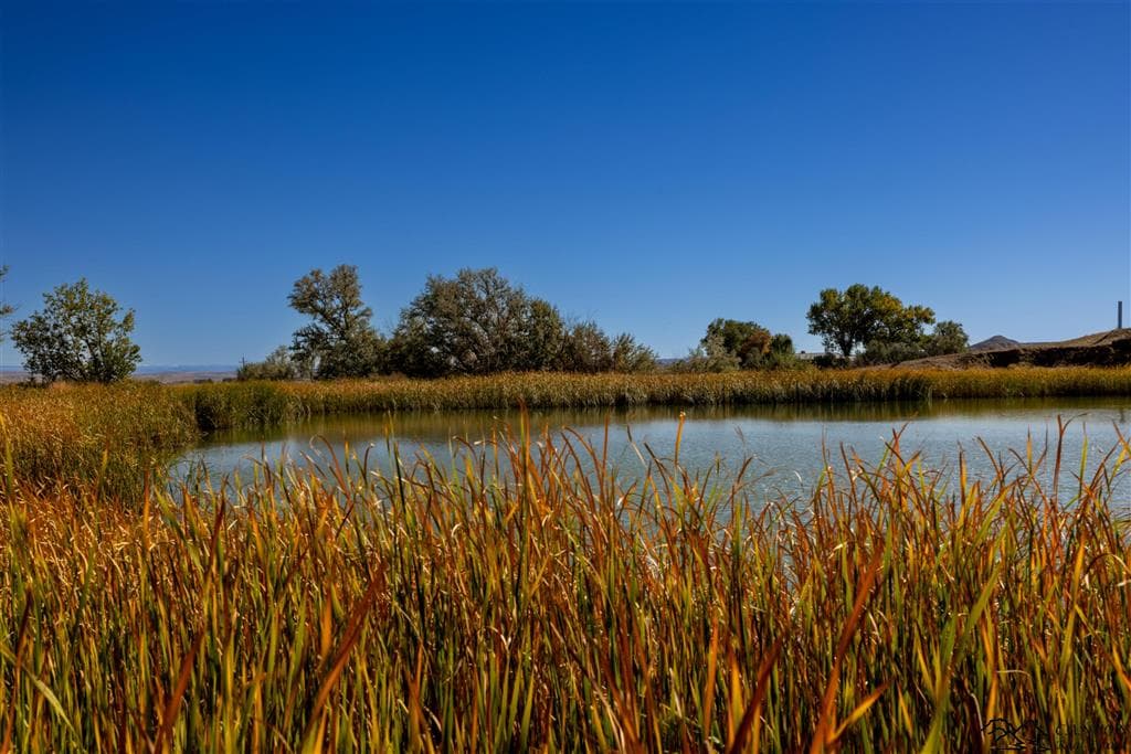 4924 Orchard Bench Rd — photo 82 of 88