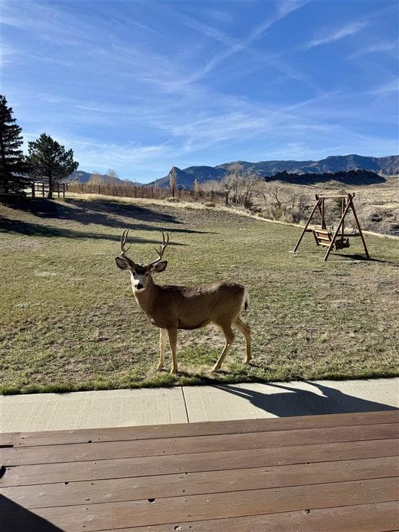 65 Trinity Pass — photo 26 of 34