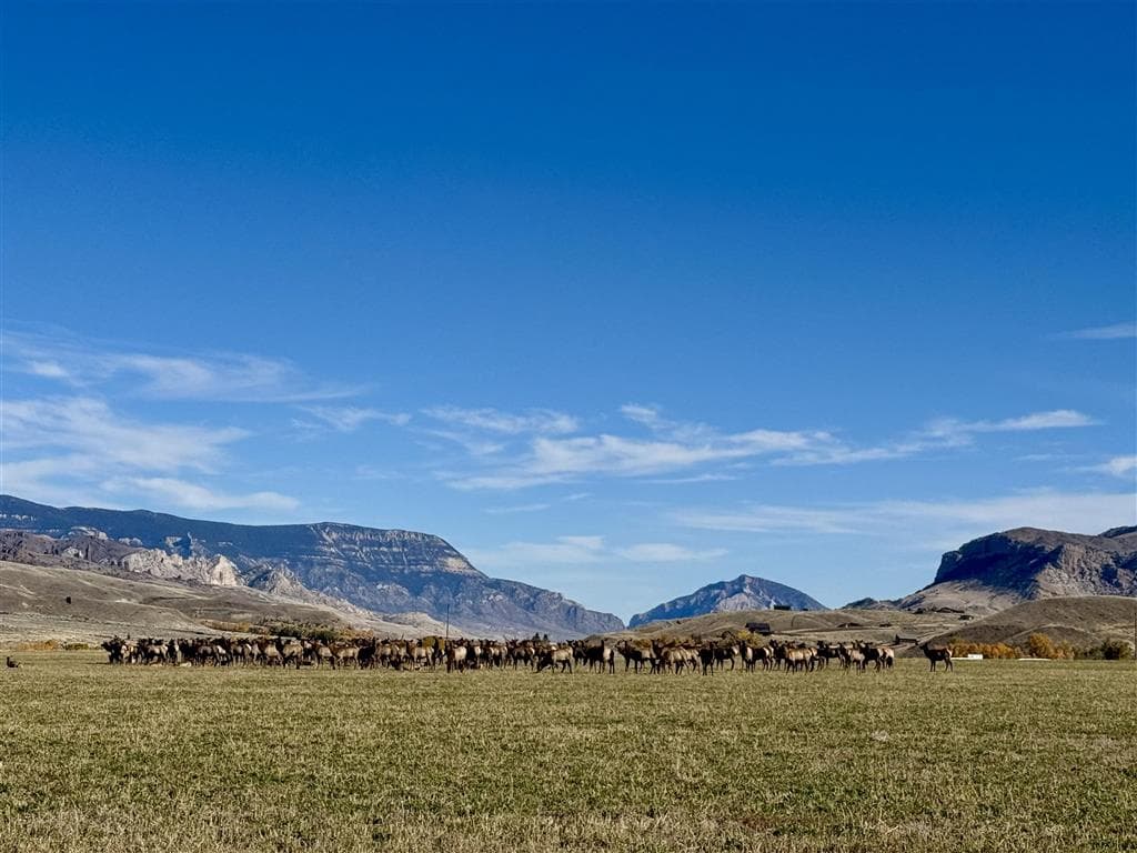 65 Trinity Pass — photo 34 of 34