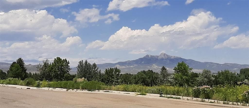 714 & 720 Olive Glenn Dr — photo 6 of 6