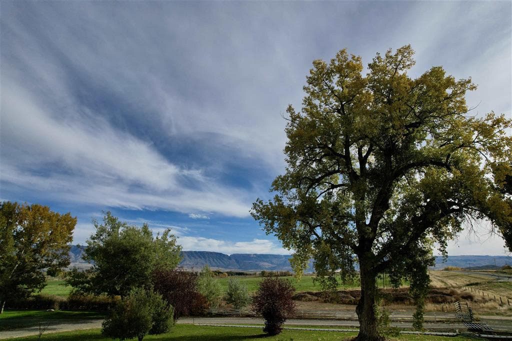 969 Hwy 14 — photo 50 of 63