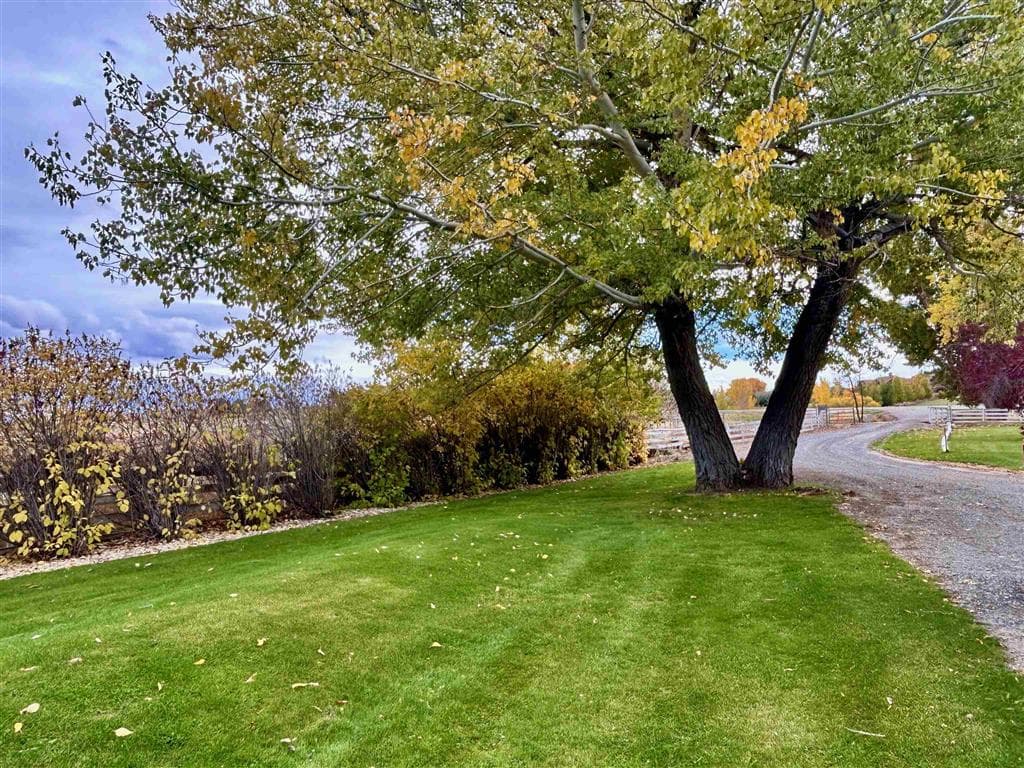 969 Hwy 14 — photo 58 of 63