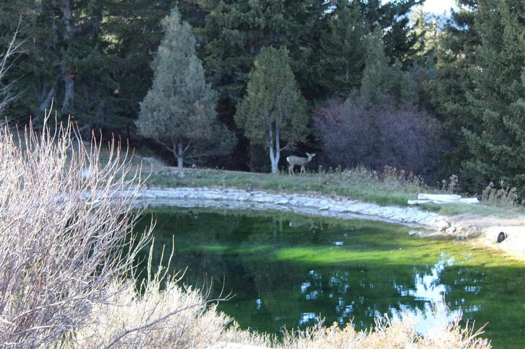 65 Bald Mountain Rd — photo 8 of 23