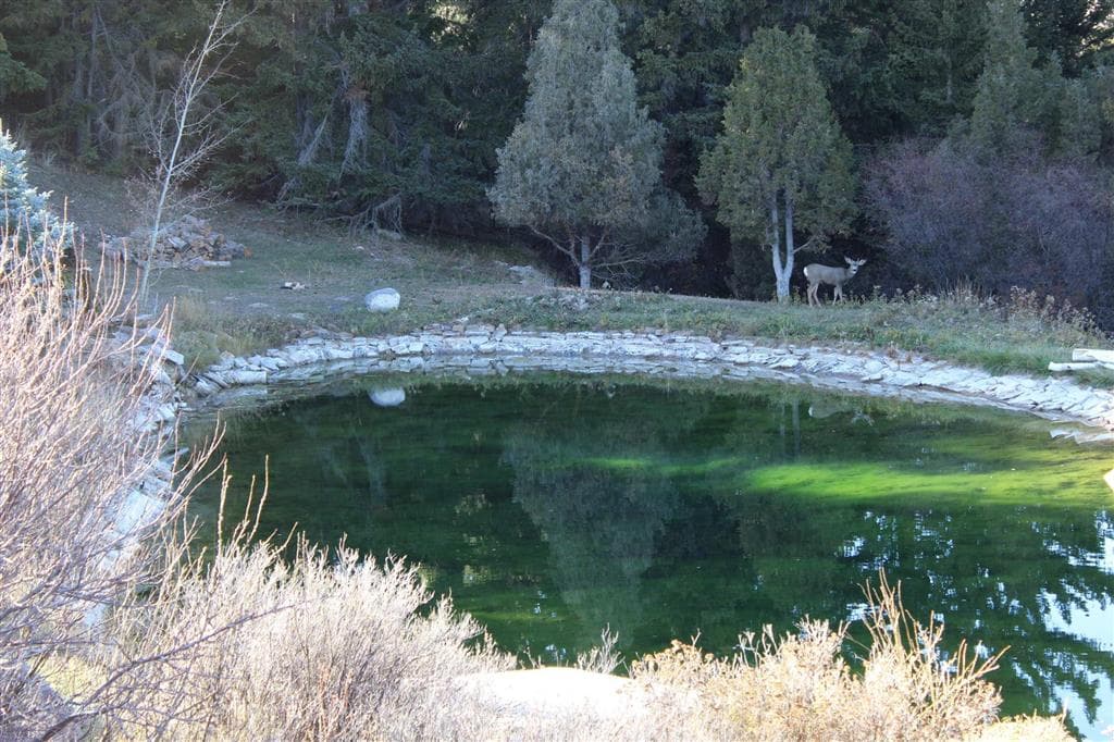 65 Bald Mountain Rd — photo 9 of 23