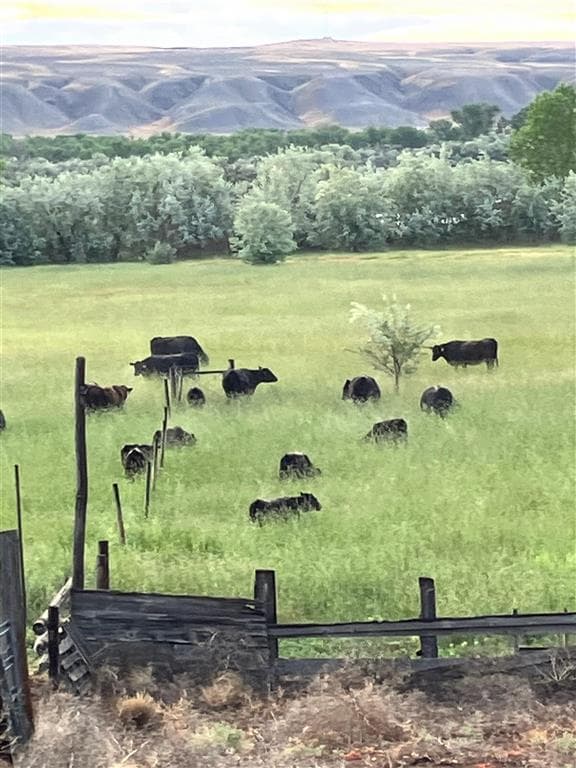 4127 Golf Course Rd — photo 3 of 59