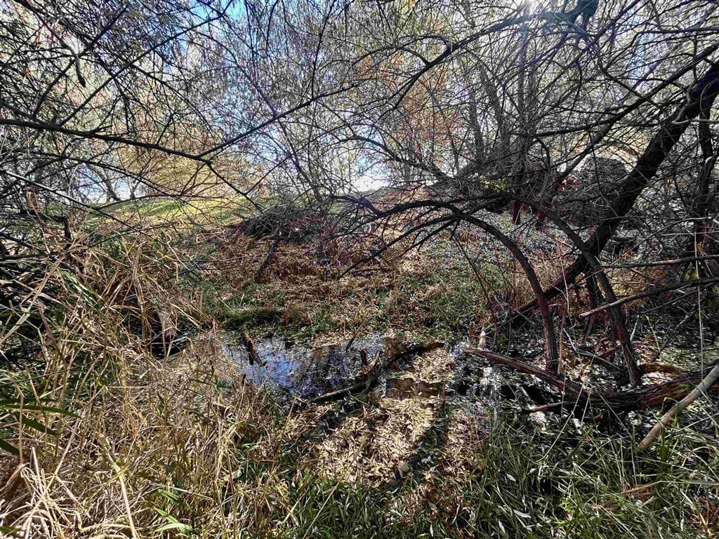 4127 Golf Course Rd — photo 37 of 59