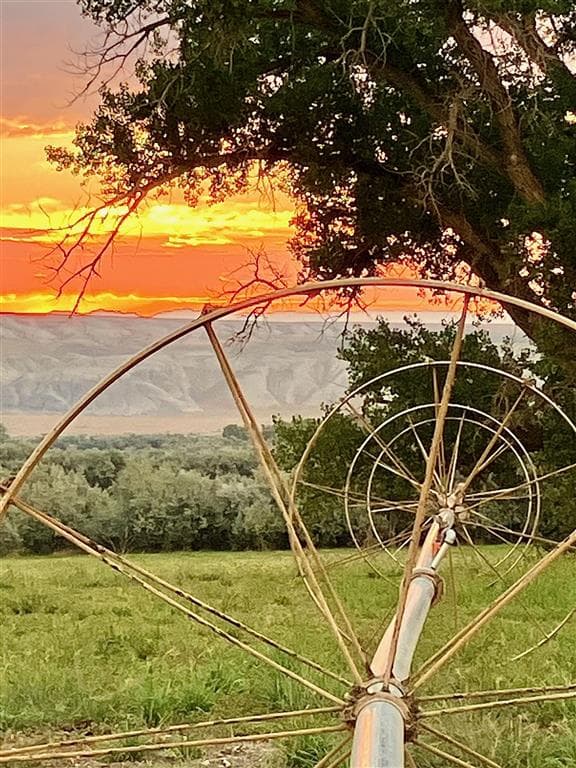 4127 Golf Course Rd — photo 49 of 59