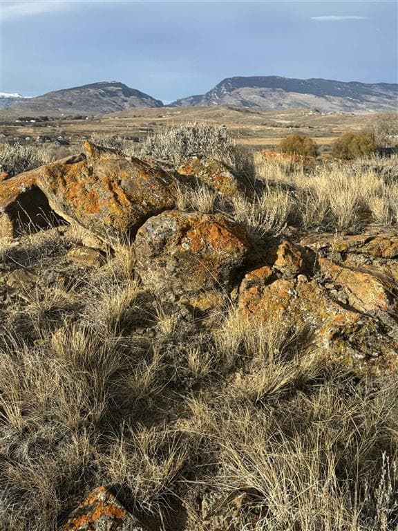 TBD Tailwinds Dr — photo 4 of 7