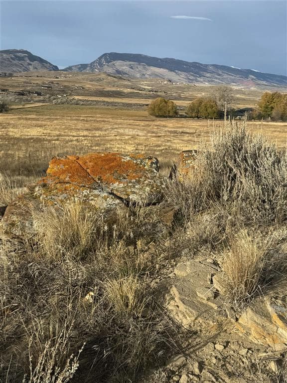 TBD Tailwinds Dr — photo 5 of 7