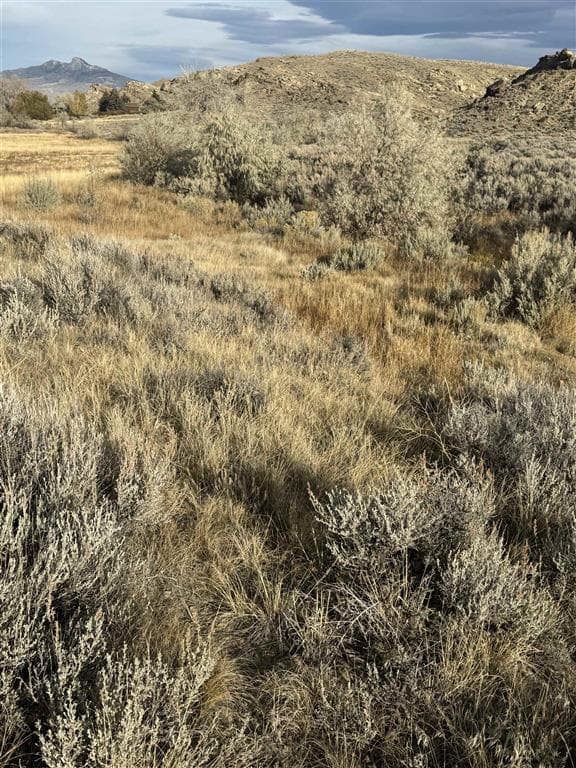 TBD Tailwinds Dr — photo 6 of 7