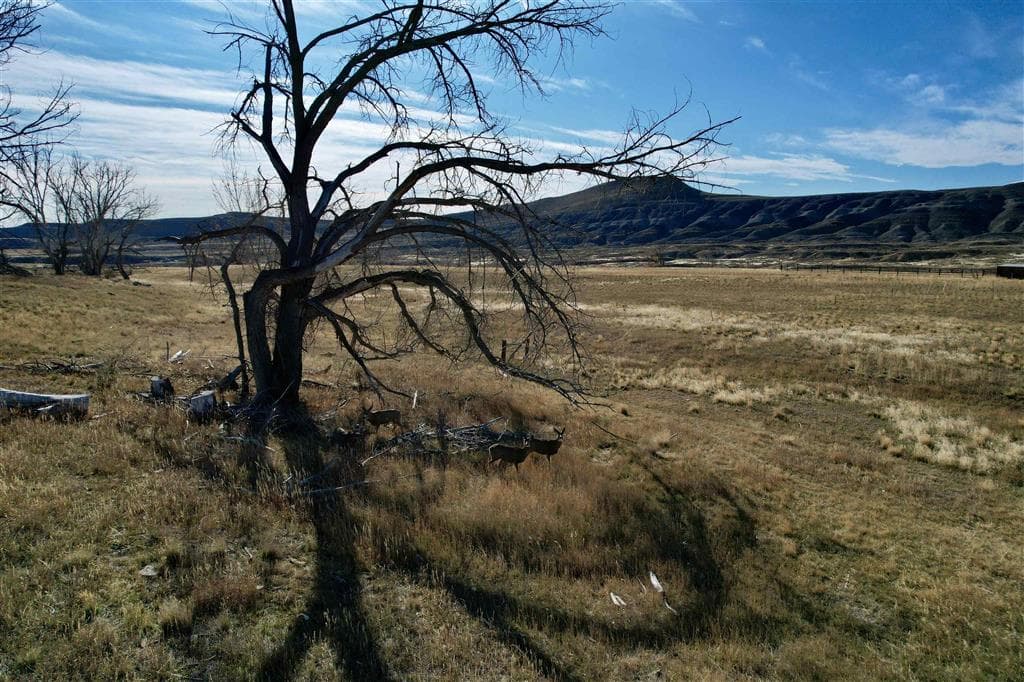 2477 Beaver Creek Rd — photo 68 of 75