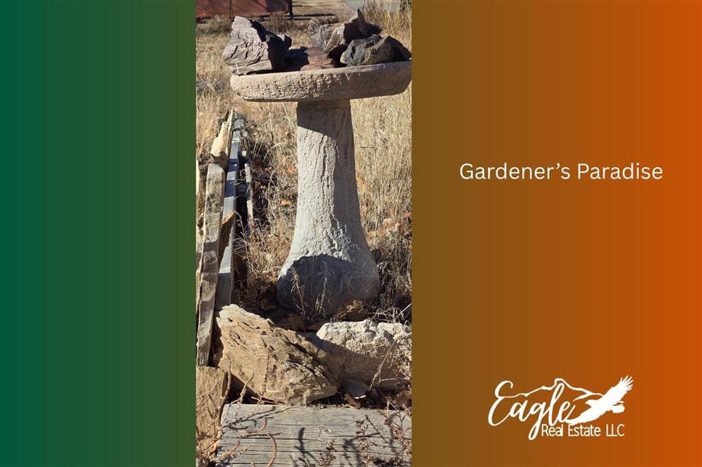 1798 Dutcher Springs Tr — photo 41 of 59