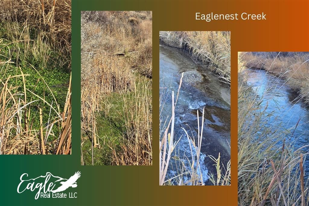 1798 Dutcher Springs Tr — photo 44 of 59