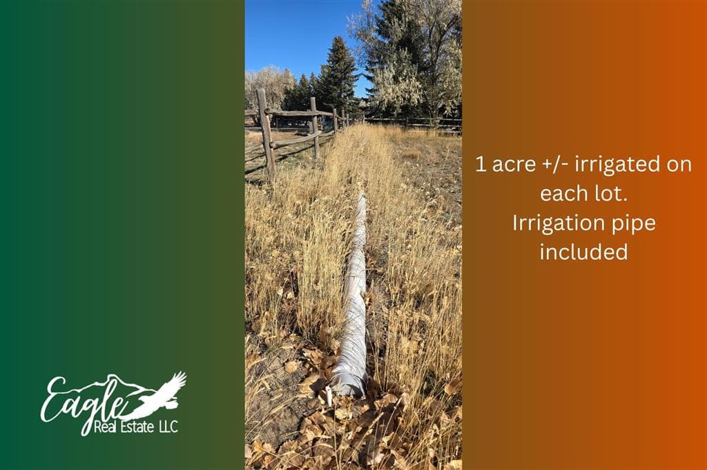 1798 Dutcher Springs Tr — photo 49 of 59