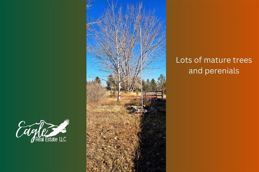 1798 Dutcher Springs Tr — photo 50 of 59