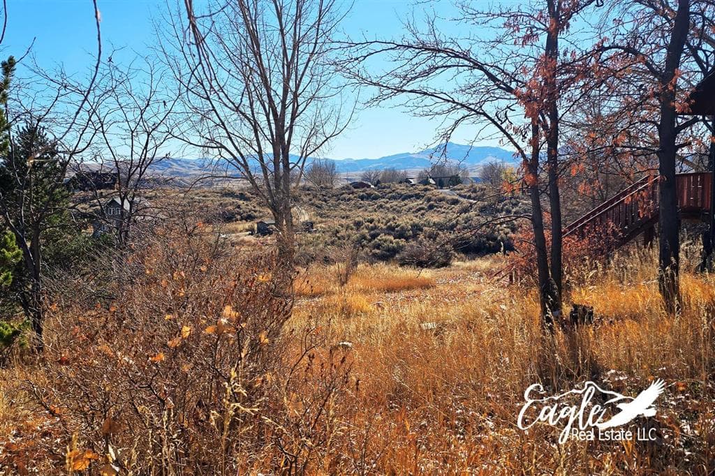 1798 Dutcher Springs Tr — photo 53 of 59