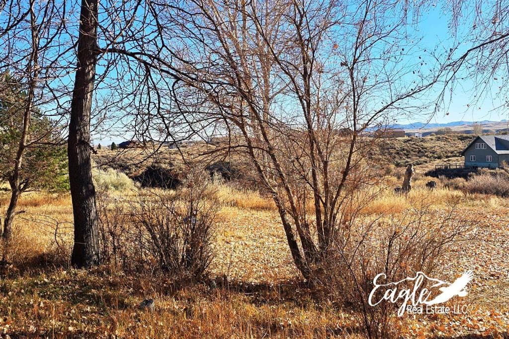 1798 Dutcher Springs Tr — photo 56 of 59