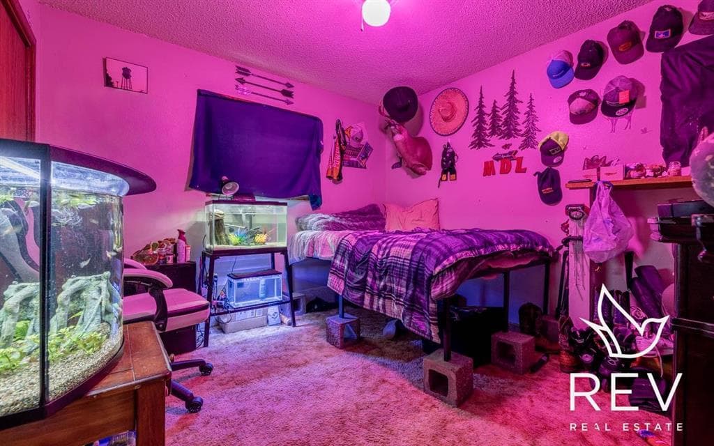 1136 Olive Rd — photo 16 of 33