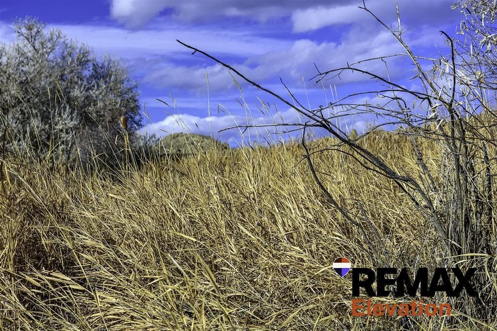 155 Highway 14A West — photo 28 of 45