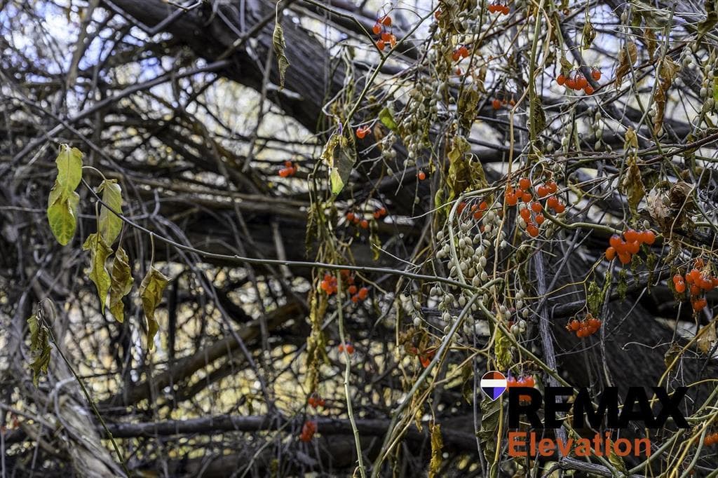 155 Highway 14A West — photo 29 of 45