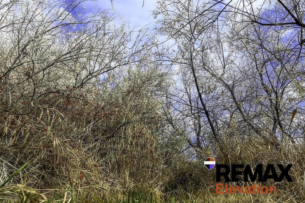 155 Highway 14A West — photo 30 of 45