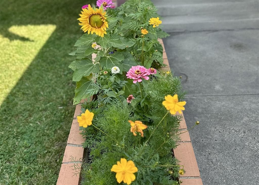 614 19th St — photo 3 of 25