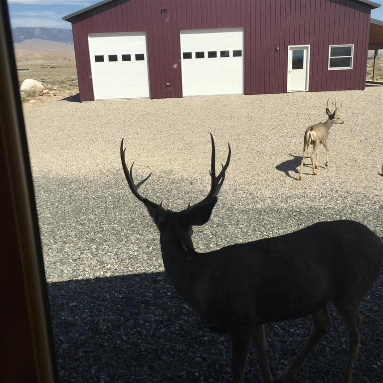 44 Cowboy Dr — photo 31 of 32