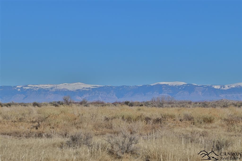 1412 Lane 41 — photo 28 of 48