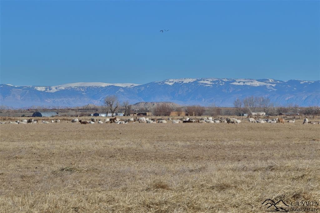 1412 Lane 41 — photo 29 of 48