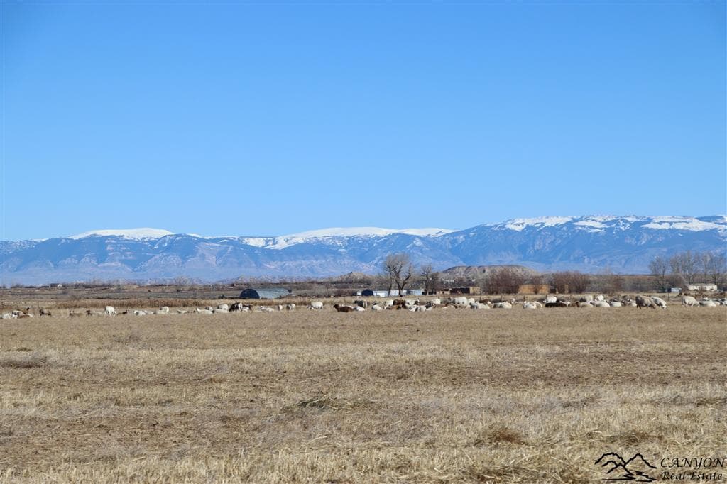 1412 Lane 41 — photo 30 of 48