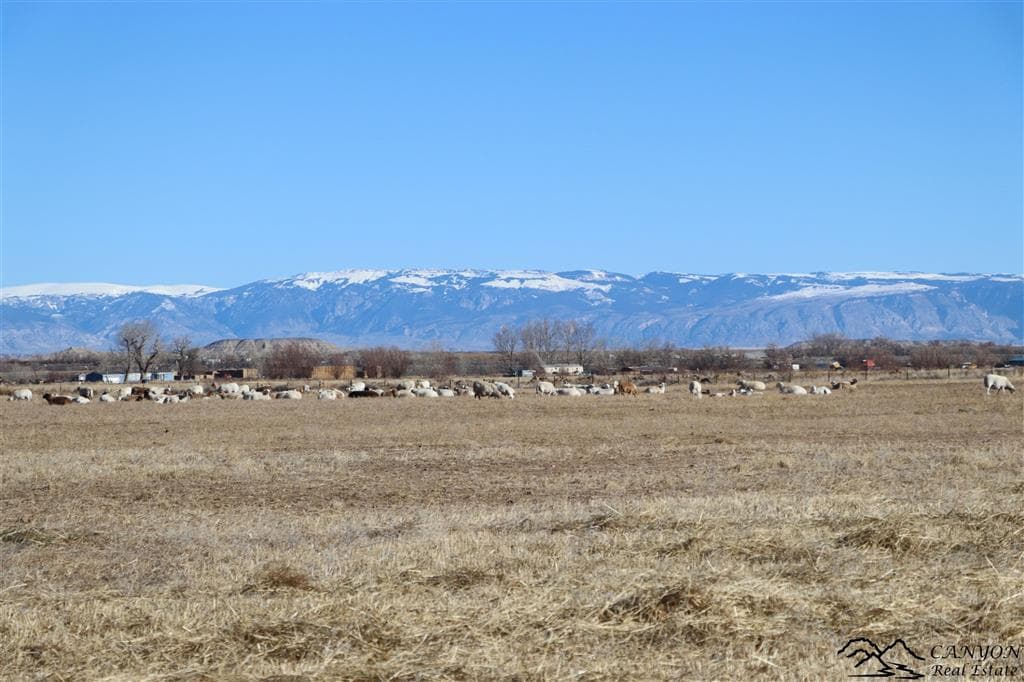 1412 Lane 41 — photo 31 of 48