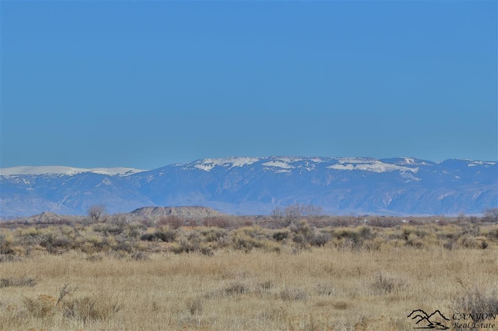 1412 Lane 41 — photo 35 of 48