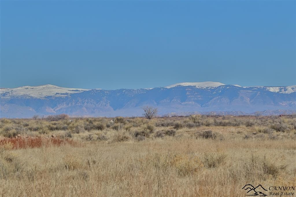 1412 Lane 41 — photo 36 of 48