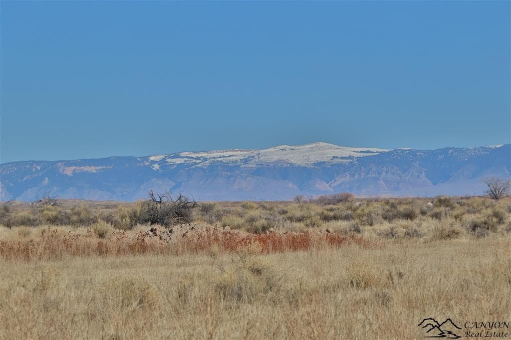 1412 Lane 41 — photo 37 of 48