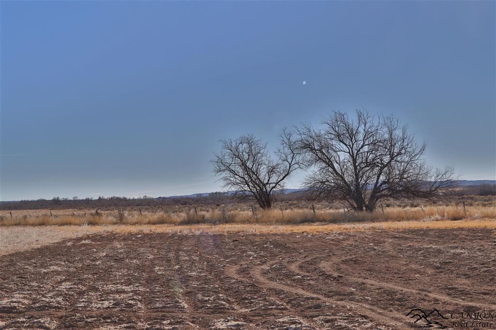 1412 Lane 41 — photo 38 of 48