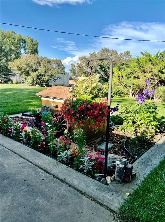 1211 Road 11 1/2 — photo 3 of 50