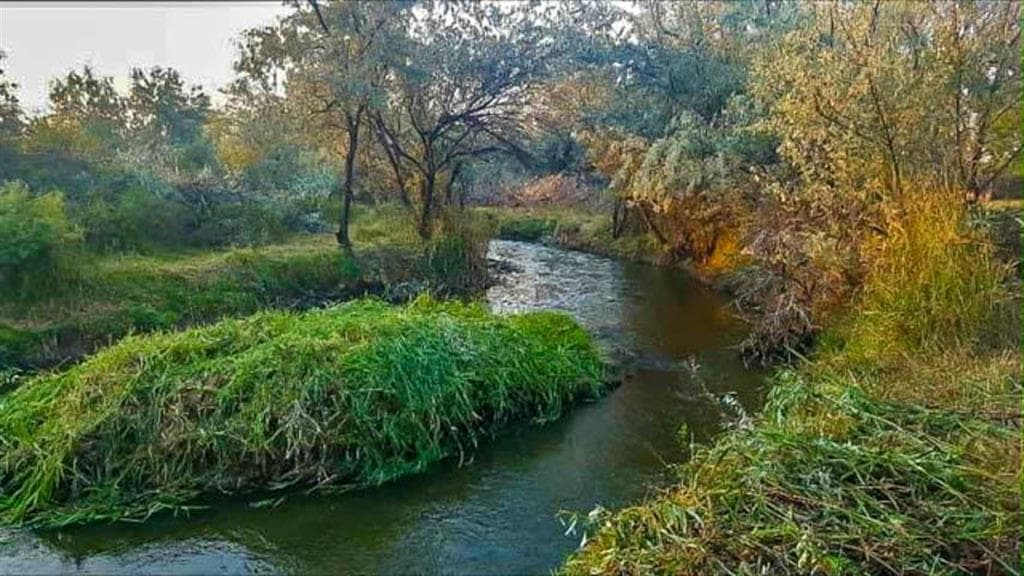 654 Hwy 20 N — photo 2 of 71