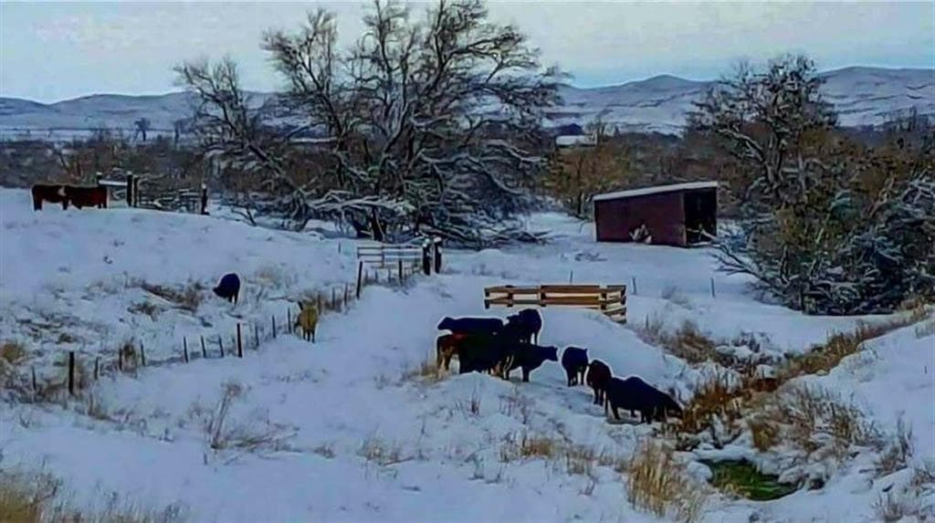 654 Hwy 20 N — photo 15 of 71