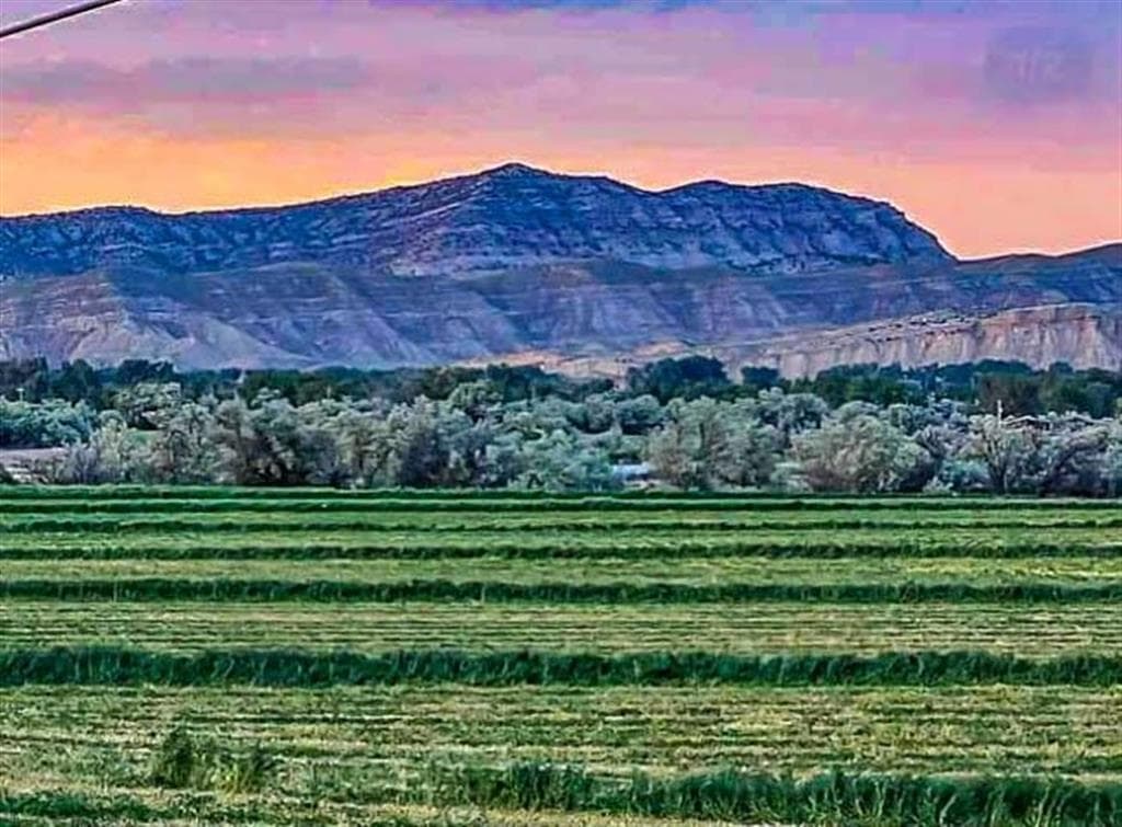 654 Hwy 20 N — photo 3 of 71